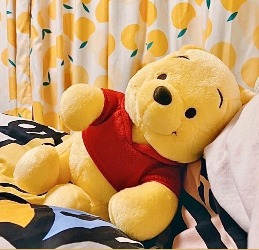 Cute Honey Bear Plush Toy – Soft Pooh-Style Teddy Bear | Adorable Stuffed Animal Gift for Kids & Baby