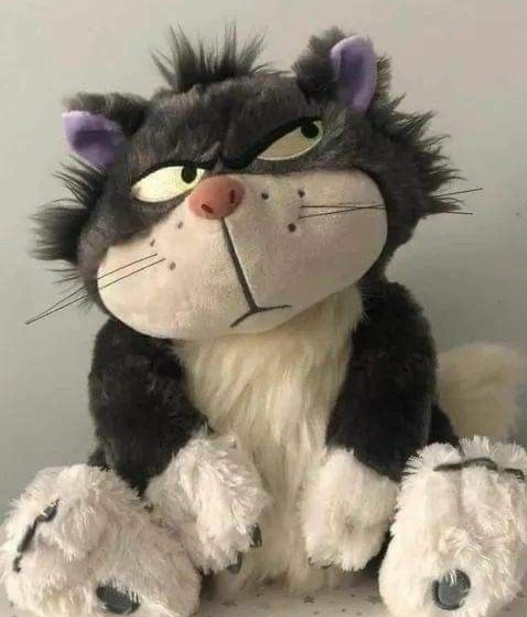 Lucifer angry cat plush toy