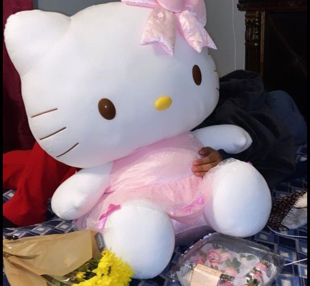 Hello Kitty Plush Toy | Cute Kawaii Soft Doll | Gift for Girls & Kids